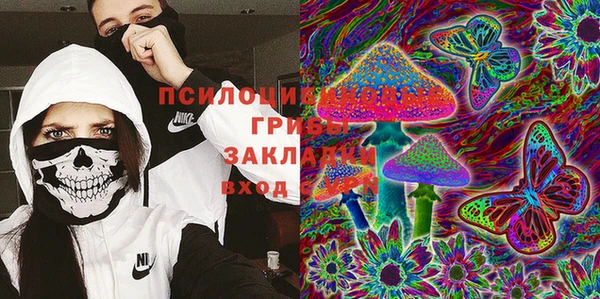 метадон Горнозаводск