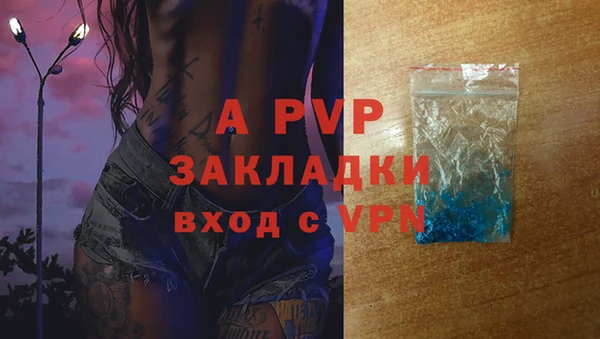 spice Горняк