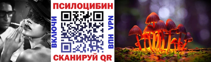 закладки  Ельня  Псилоцибиновые грибы прущие грибы 