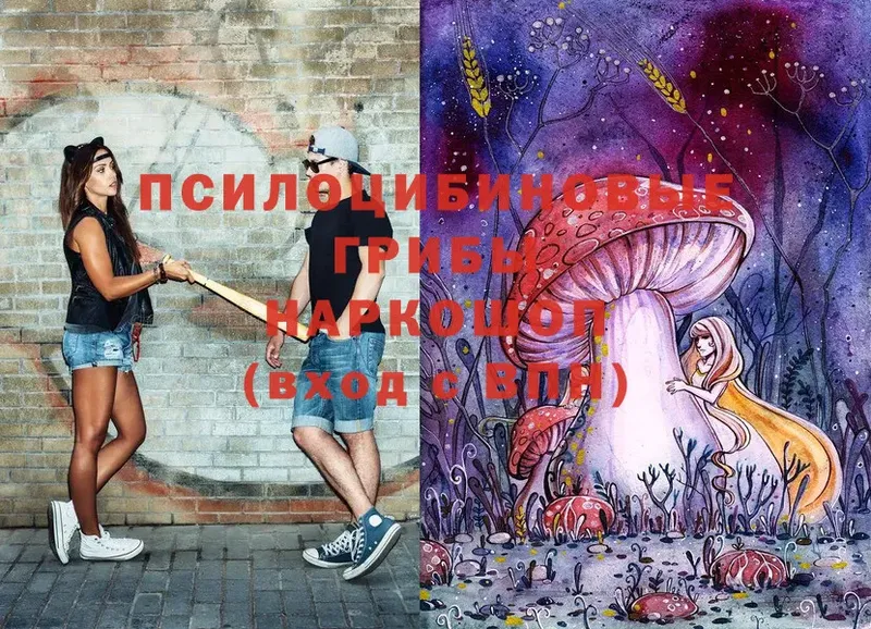 Галлюциногенные грибы MAGIC MUSHROOMS  где купить наркотик  Ельня 