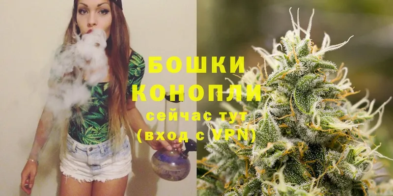 Бошки Шишки SATIVA & INDICA  hydra ссылки  Ельня  купить закладку 